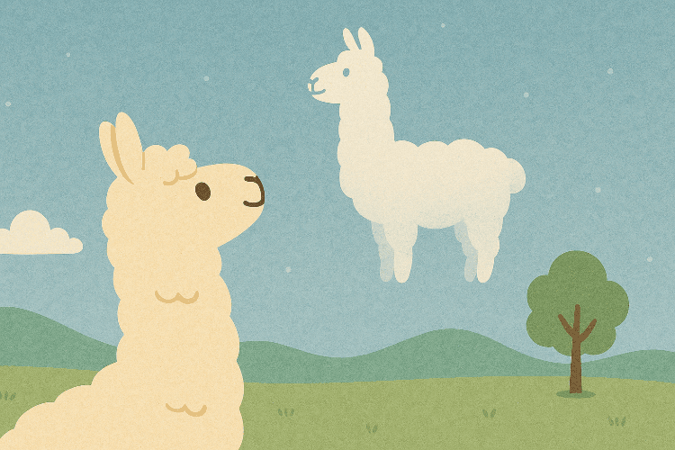 Learning about TinaCloud